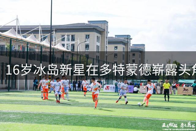 16岁冰岛新星在多特蒙德崭露头角 被誉哈兰德接班人